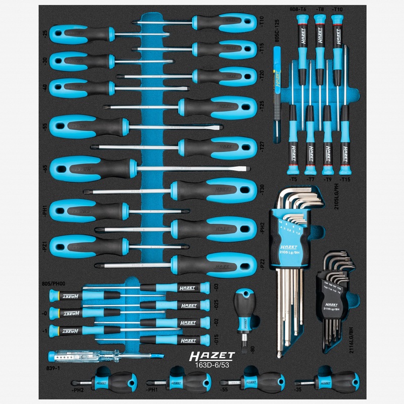 Hazet 163D-6/53 Screwdriver Set in Foam Tray, 53 Pieces