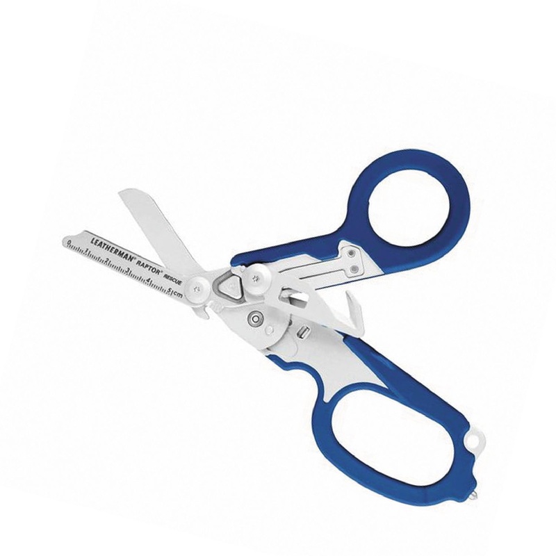 RAPTOR PIER WITH BLUE HANDLES