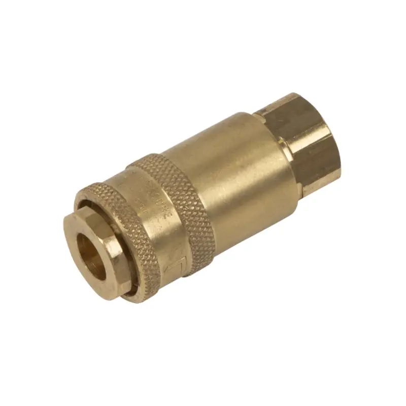 Sealey Non-Corrodible PCL Coupling Body Female 1/4"BSP