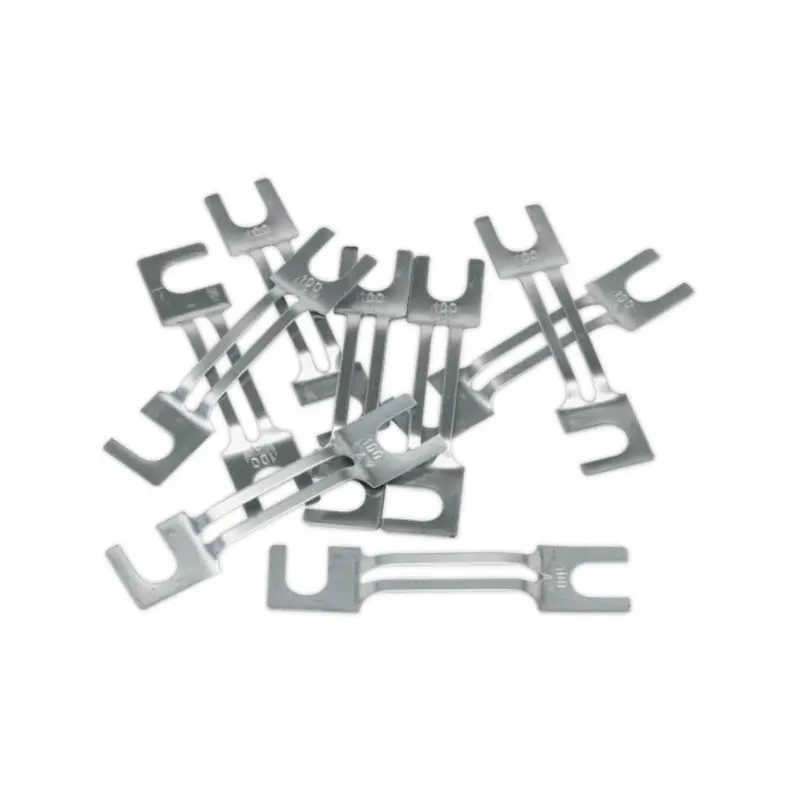 Sealey Fuse 100A 99 x 20mm Large Pack of 10