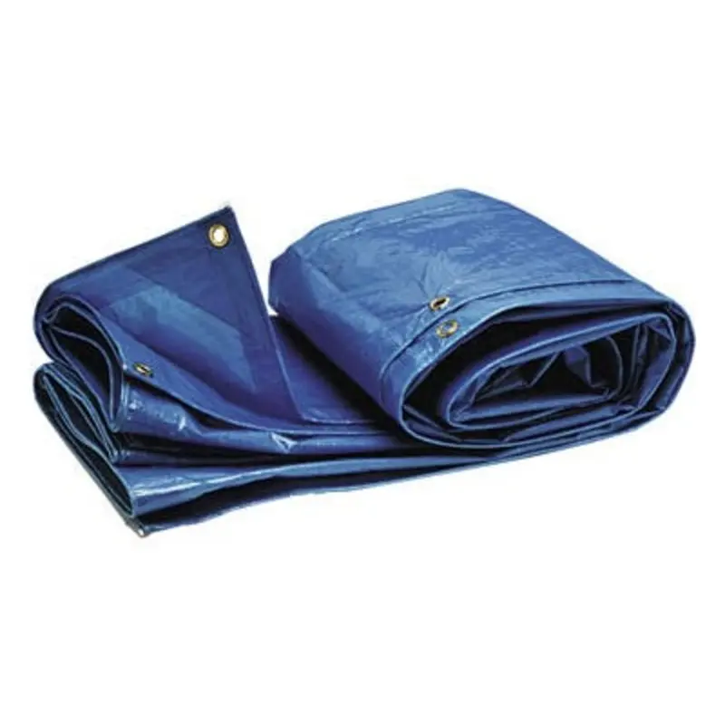 Sealey 10ft x 12ft Tarpaulin - Green