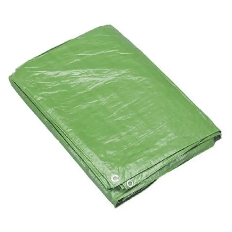 Sealey 12ft x 16ft Tarpaulin - Green